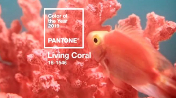 Az év színe 2019-ben a Living Coral