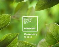 Év színe 2017: greenery