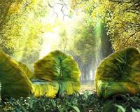 Év színe 2017: greenery