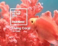 Az év színe 2019: Living Coral