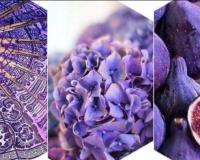 Természetben megjelenő Ultra Violet szín