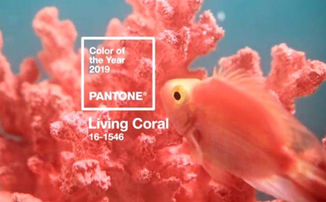 Az év színe 2019-ben a Living Coral